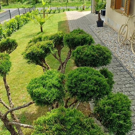 Mediterran Apartman Zalakaros Ngoại thất bức ảnh