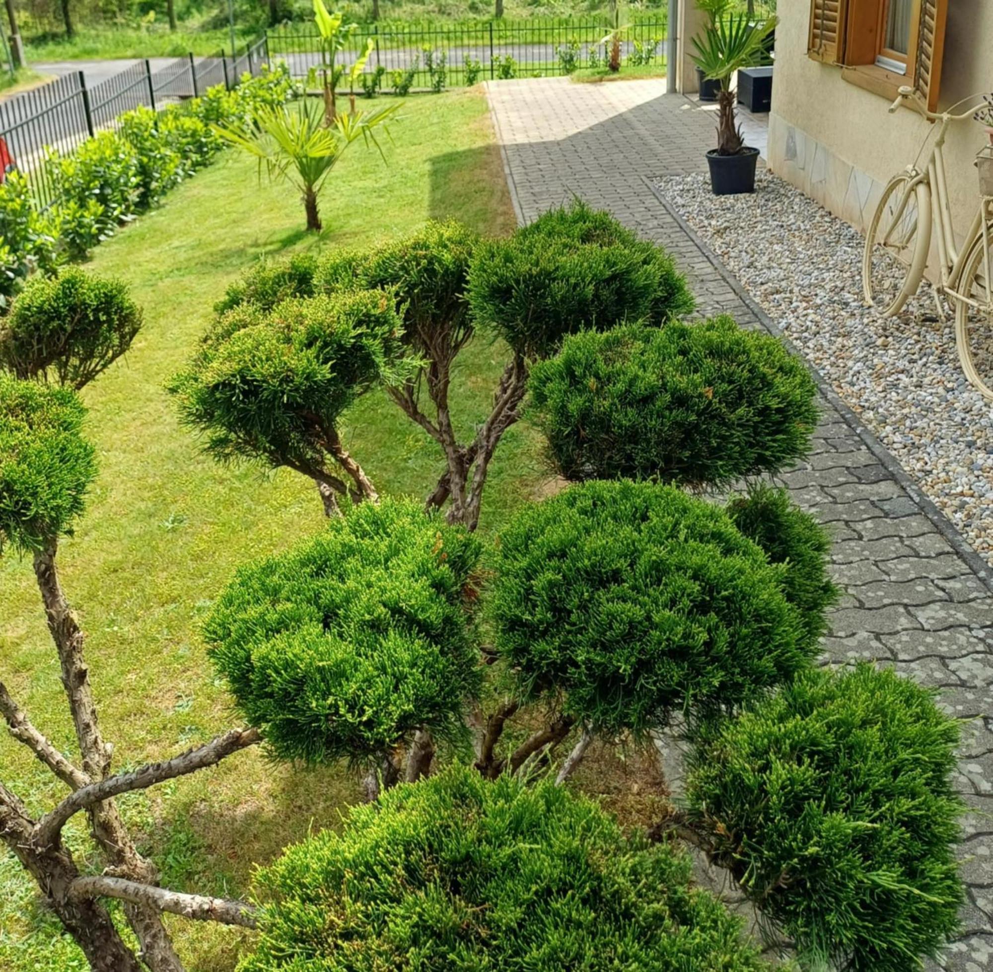 Mediterran Apartman Zalakaros Ngoại thất bức ảnh